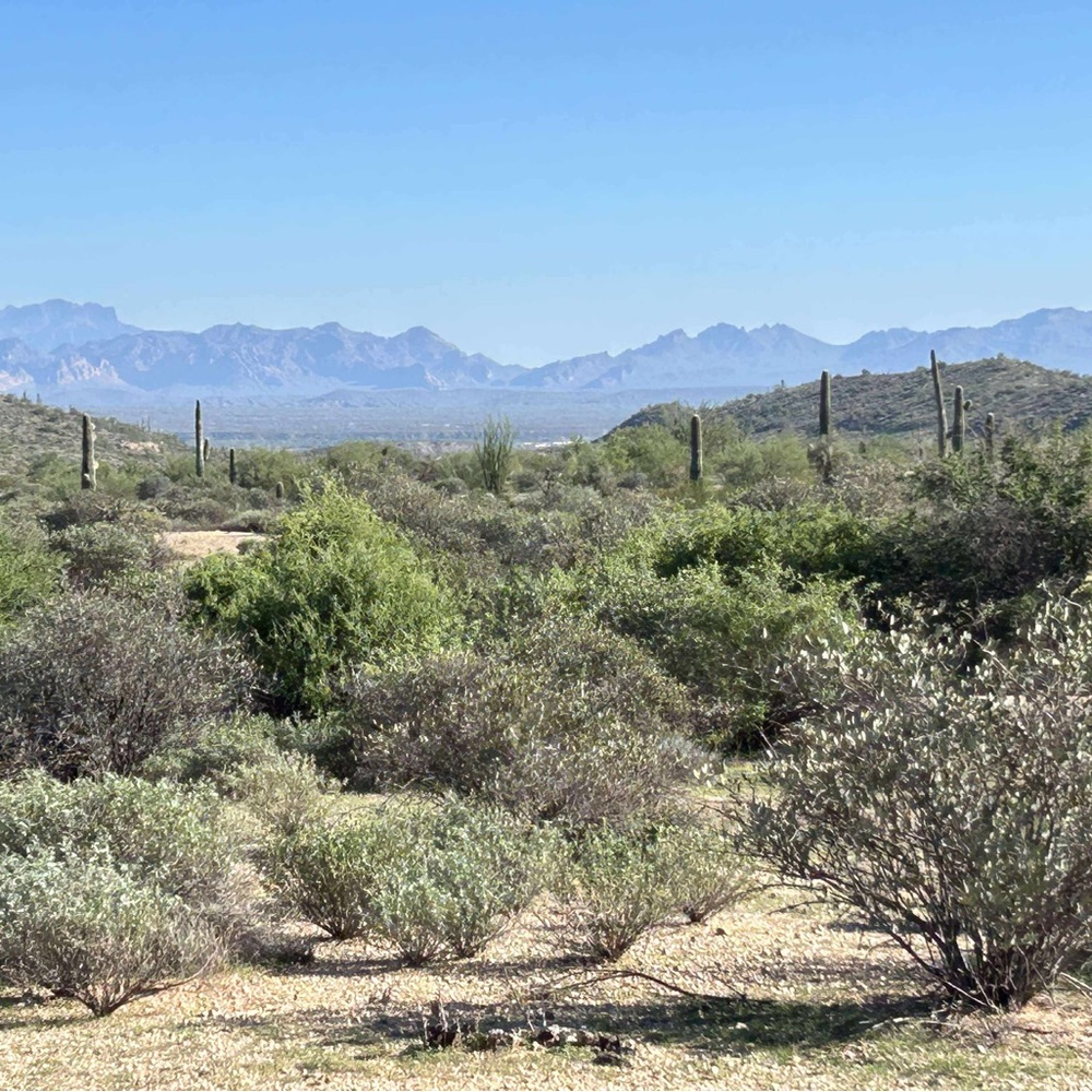 Meet your Posher, Janna